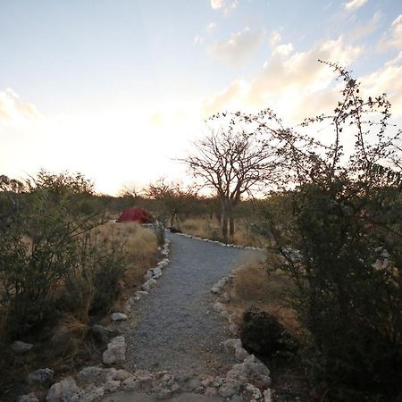 Etosha Village Campsite أوكاوكويجو المظهر الخارجي الصورة