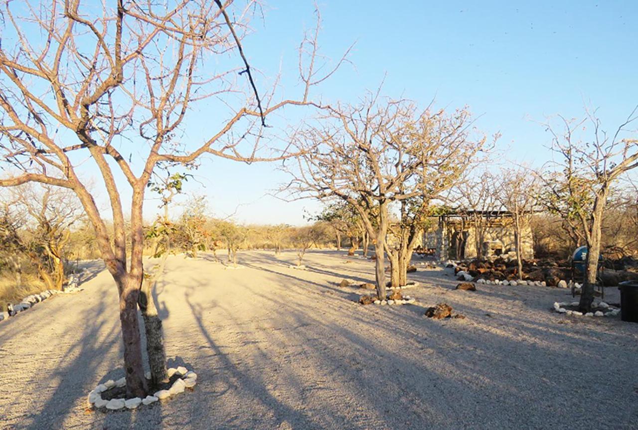Etosha Village Campsite أوكاوكويجو المظهر الخارجي الصورة