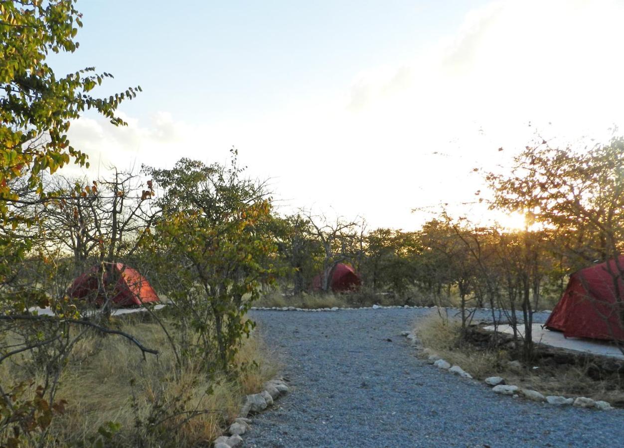Etosha Village Campsite أوكاوكويجو المظهر الخارجي الصورة