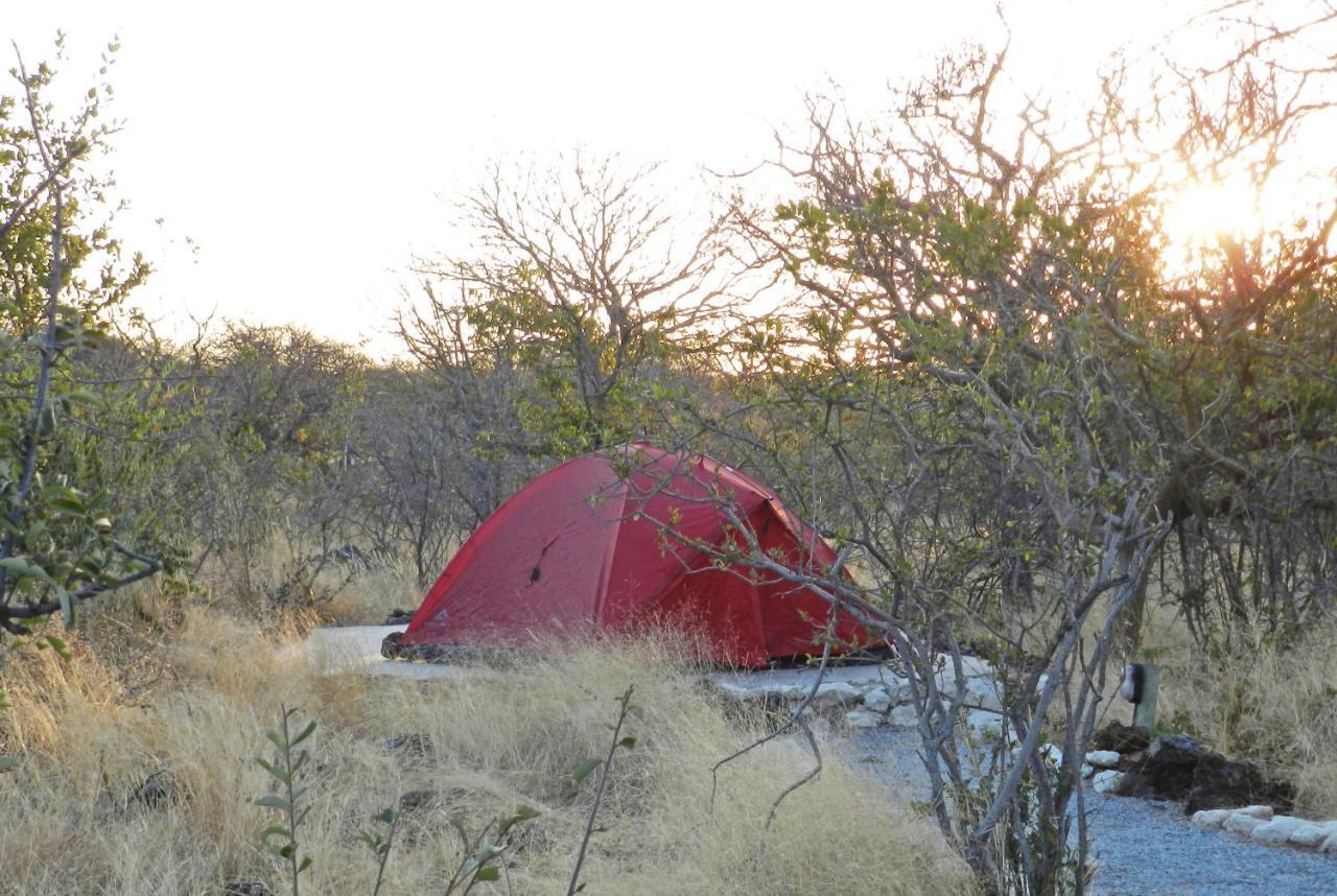 Etosha Village Campsite أوكاوكويجو المظهر الخارجي الصورة