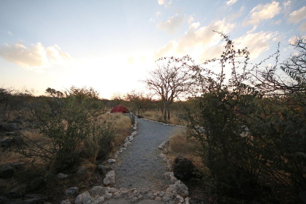 Etosha Village Campsite أوكاوكويجو المظهر الخارجي الصورة