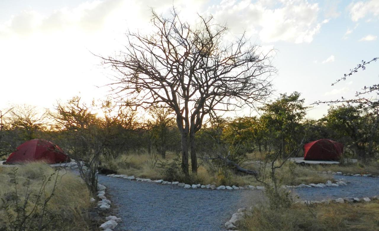 Etosha Village Campsite أوكاوكويجو المظهر الخارجي الصورة
